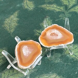 May include: Two polished agate slices with orange and white bands, displayed on clear acrylic stands. The agate has a central crystalline cavity. The background is a dark green fabric with a subtle pattern.