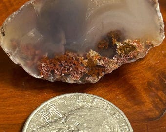 May include: A translucent, irregularly shaped agate stone with gray and white bands, and reddish-brown and gold mineral deposits. A quarter coin is placed below the stone for size comparison.
