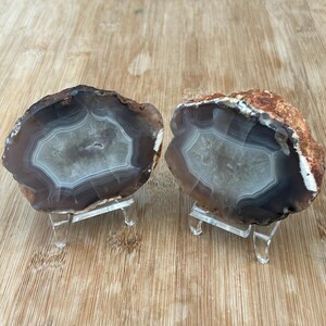 May include: Two polished agate slices, each displayed on a clear acrylic stand. The agate features concentric bands of gray, white, and brown, with a central crystalline cavity. The rough, natural edges contrast with the polished interior.