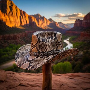 May include: A cowboy hat with a snakeskin pattern in shades of brown, tan, and black. The hat is perched on a wooden post, with a braided band and decorative accents. The background features a scenic view of mountains and a river.