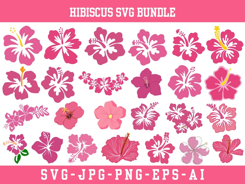 Hibiscus Flower SVG Bundle, Tropical Clipart (instant Download) - Etsy