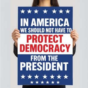 May include: A blue and white poster with the text "IN AMERICA WE SHOULD NOT HAVE TO PROTECT DEMOCRACY FROM THE PRESIDENT." White stars are at the top and bottom of the poster. The text "PROTECT DEMOCRACY" is in red.
