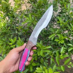 Handmade D2 Steel Engraved Hunting Machete kukri Knife with Colour full Sheet and Rose wood Handle