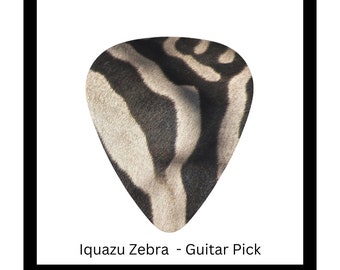 Iquazu Zebra - Guitar Pick