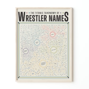 Chart of Wrestling Names Print | Poster for Home | Gift for Sports Fans
