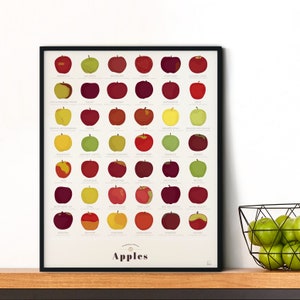 May include: A framed print featuring a detailed illustration of various apple varieties. The print showcases a grid of apples, each labeled with its name, and displays a range of colors from red to green and yellow. The word "Apples" is at the bottom.