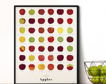 Delicious Apple Varieties Chart Print | Poster for Home | Gift for Gardening & Food Lovers