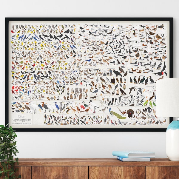 Birds of North America Print | Poster for Home | Gift for Nature & Animal Lovers