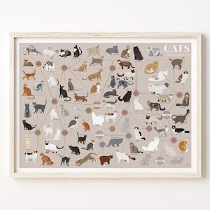 Cat Breeds Print | Poster for Home | Gift for Pet & Animal Lovers