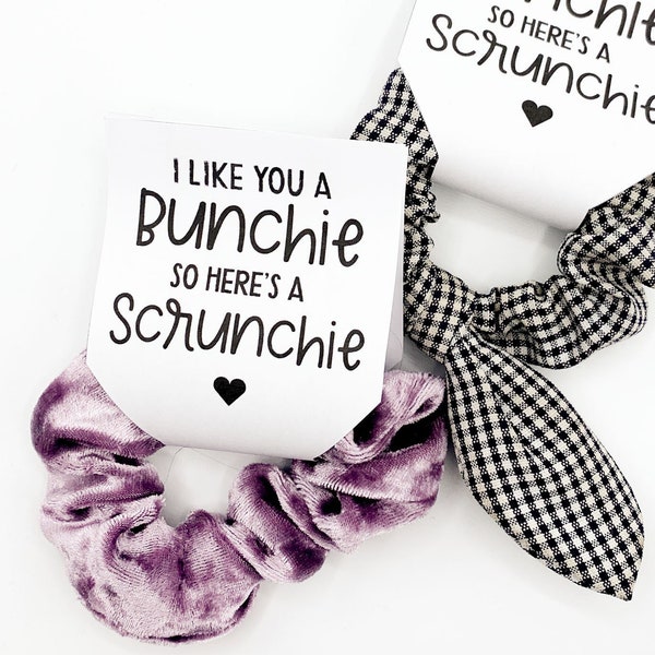 Scrunchie Valentine, Scrunchie Tag, Tween Valentine Gift, YW Valentine Gift, Girl Valentine Favor, Hair Tie Valentine, Like You A Bunchie,