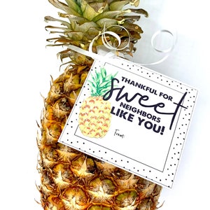 Printable Thank You Tag, Pineapple Gifts, Pineapple, Thank You Gift, Ministering, Neighbor Gift, Minister image 1