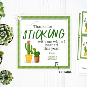 Etiqueta de maestro de cactus, etiqueta imprimible de agradecimiento al maestro, idea de agradecimiento al maestro, etiqueta de agradecimiento del maestro, regalo de planta para el maestro, imprimible