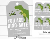 Dinosaur Valentine Tag, Dino Mite Valentine, Boys Valentine Cards, Non Candy Valentines, Dino Valentine, Boy Valentine Download, Editable