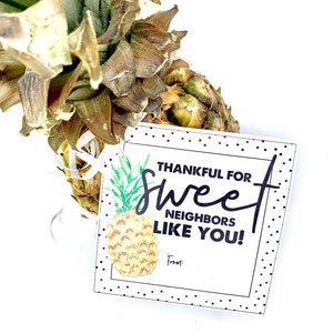 Printable Thank You Tag, Pineapple Gifts, Pineapple, Thank You Gift, Ministering, Neighbor Gift, Minister image 3