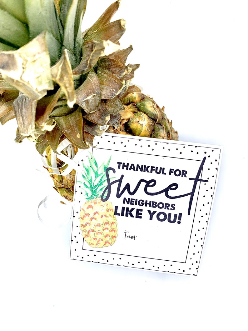 Printable Thank You Tag, Pineapple Gifts, Pineapple, Thank You Gift, Ministering, Neighbor Gift, Minister image 3