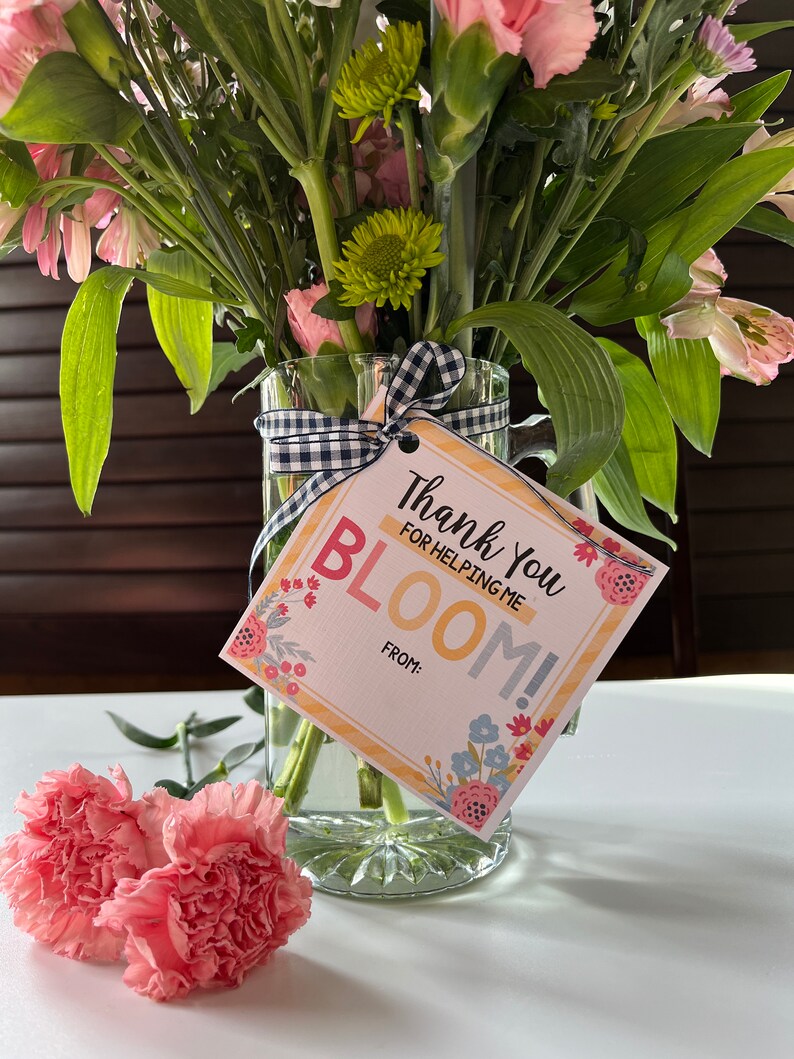 K&ouml;nnte beinhalten: Ein Strau&szlig; rosa und wei&szlig;er Nelken in einer klaren Glasvase mit einem karierten Band. Eine gelbe Karte mit dem Text "Danke, dass du mir hilfst zu BL&Uuml;HEN!" ist an der Vase befestigt.