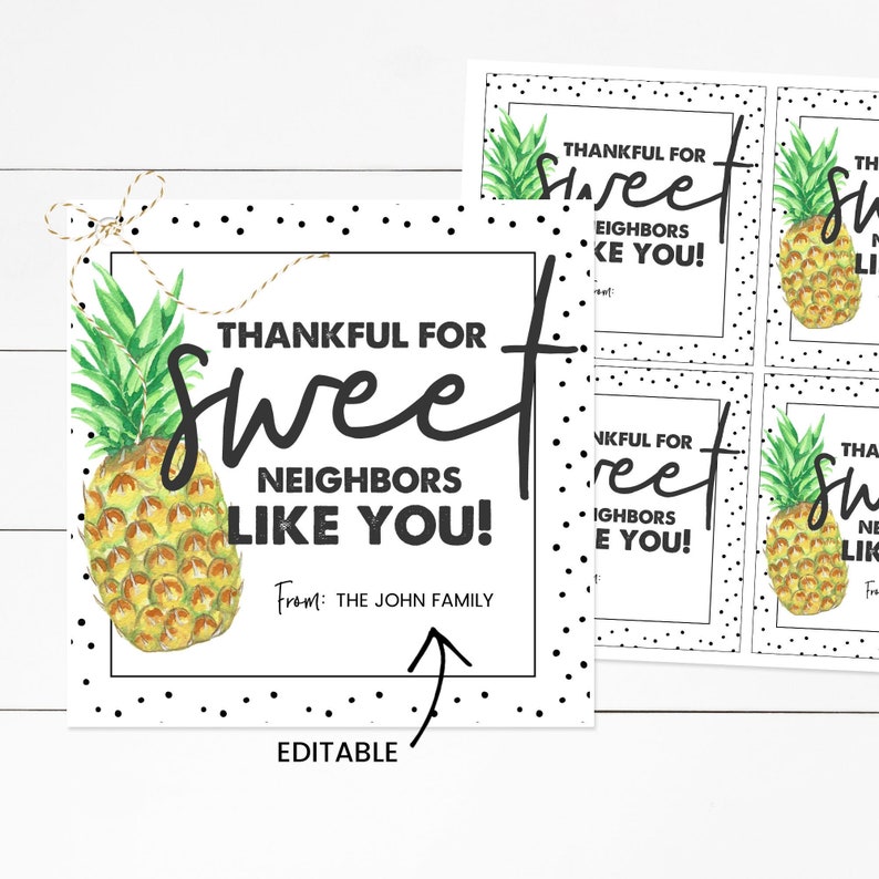 Printable Thank You Tag, Pineapple Gifts, Pineapple, Thank You Gift, Ministering, Neighbor Gift, Minister image 2