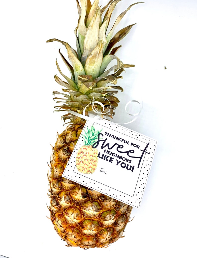 Printable Thank You Tag, Pineapple Gifts, Pineapple, Thank You Gift, Ministering, Neighbor Gift, Minister image 1