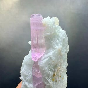 Puede incluir: Un espécimen mineral en bruto con un vibrante cristal de turmalina rosa que emerge de una matriz de albita azul-verdosa pálida. La turmalina tiene una apariencia translúcida, y la albita tiene una estructura cristalina texturizada.