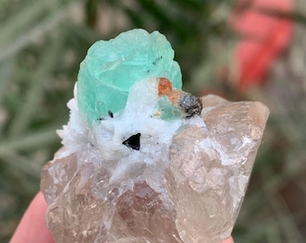 スカルドゥ産のアルバイト標本上の天然ゾイサイト結晶。07 GM - Etsy 日本