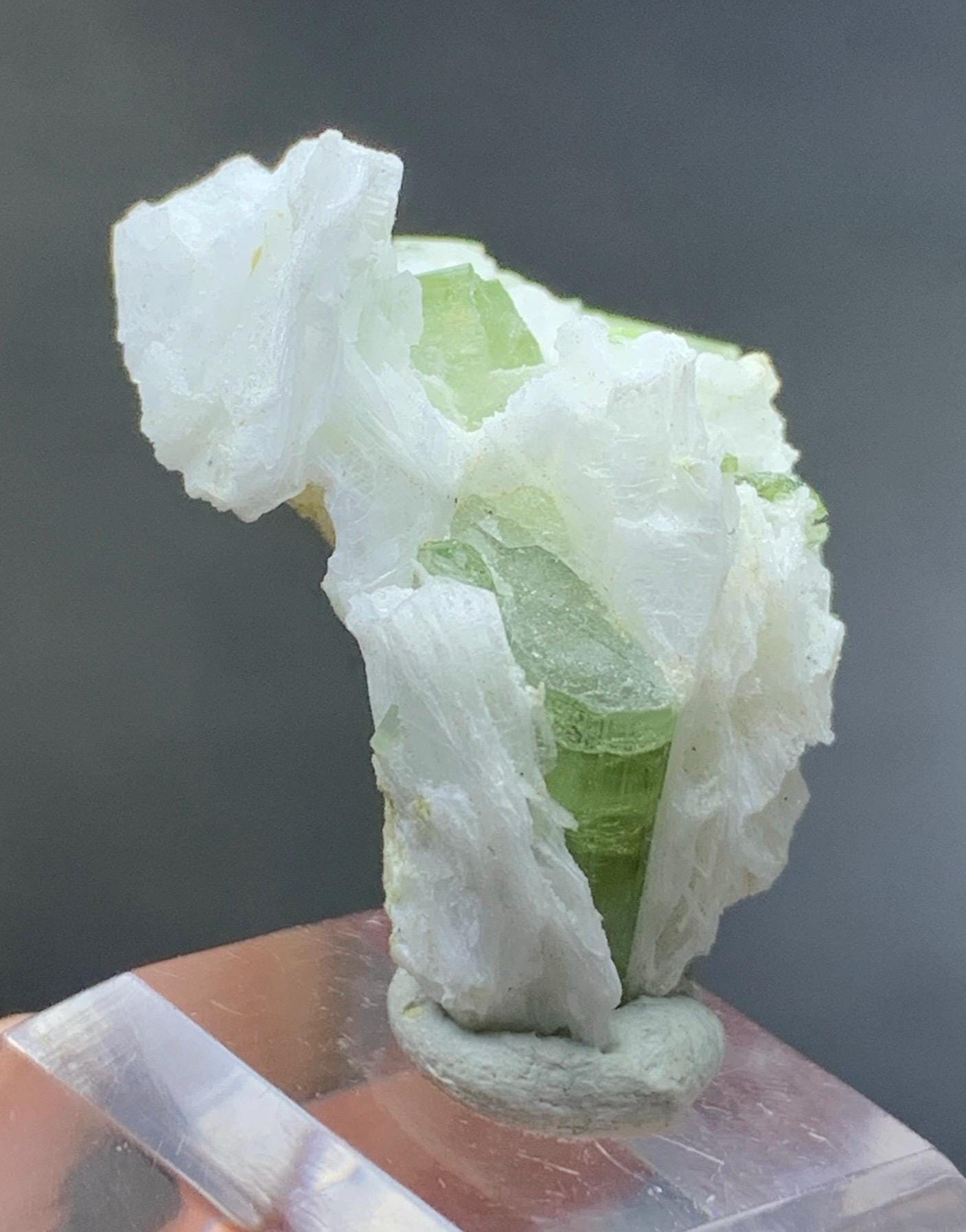 スカルドゥ産のアルバイト標本上の天然ゾイサイト結晶。07 GM - Etsy 日本