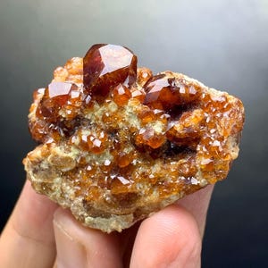 May include: A cluster of orange-brown garnet crystals on a matrix of rock. The crystals have a glossy, faceted appearance, with a deep reddish-brown hue. The matrix is a mix of tan and light green.