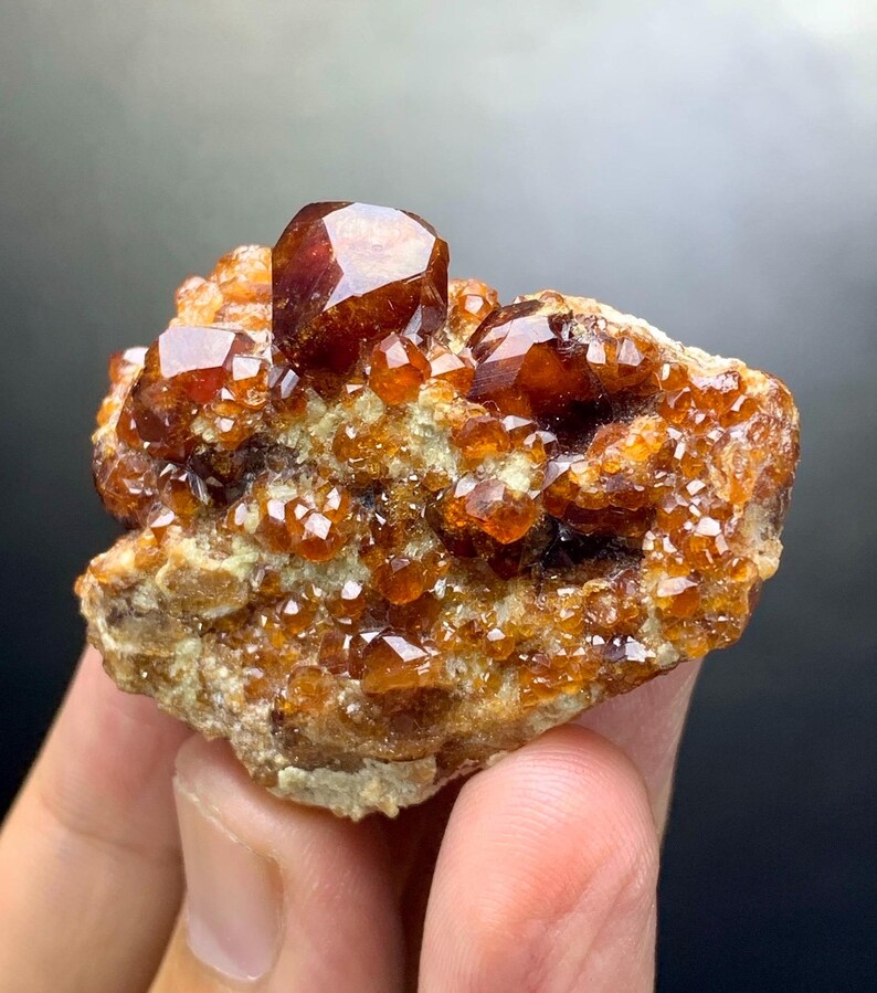 May include: A cluster of orange-brown garnet crystals on a matrix of rock. The crystals have a glossy, faceted appearance, with a deep reddish-brown hue. The matrix is a mix of tan and light green.
