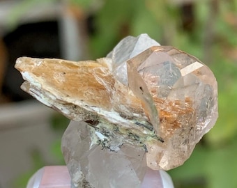 スカルドゥ鉱山産の天然の金色のツイントパーズ結晶標本。15グラム