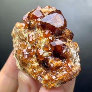 May include: A cluster of lustrous, reddish-brown garnet crystals. The crystals have a geometric shape and are set against a rough, beige matrix. The gemstone cluster is held in a hand, with a dark background.
