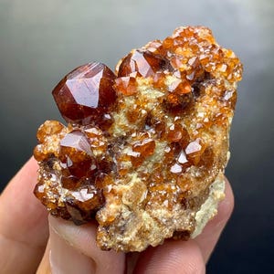 May include: A cluster of orange-brown garnet crystals on a beige matrix. The crystals have a glossy, faceted appearance, with a prominent, well-formed crystal at the top. The mineral specimen is held in a hand, showcasing its natural beauty.