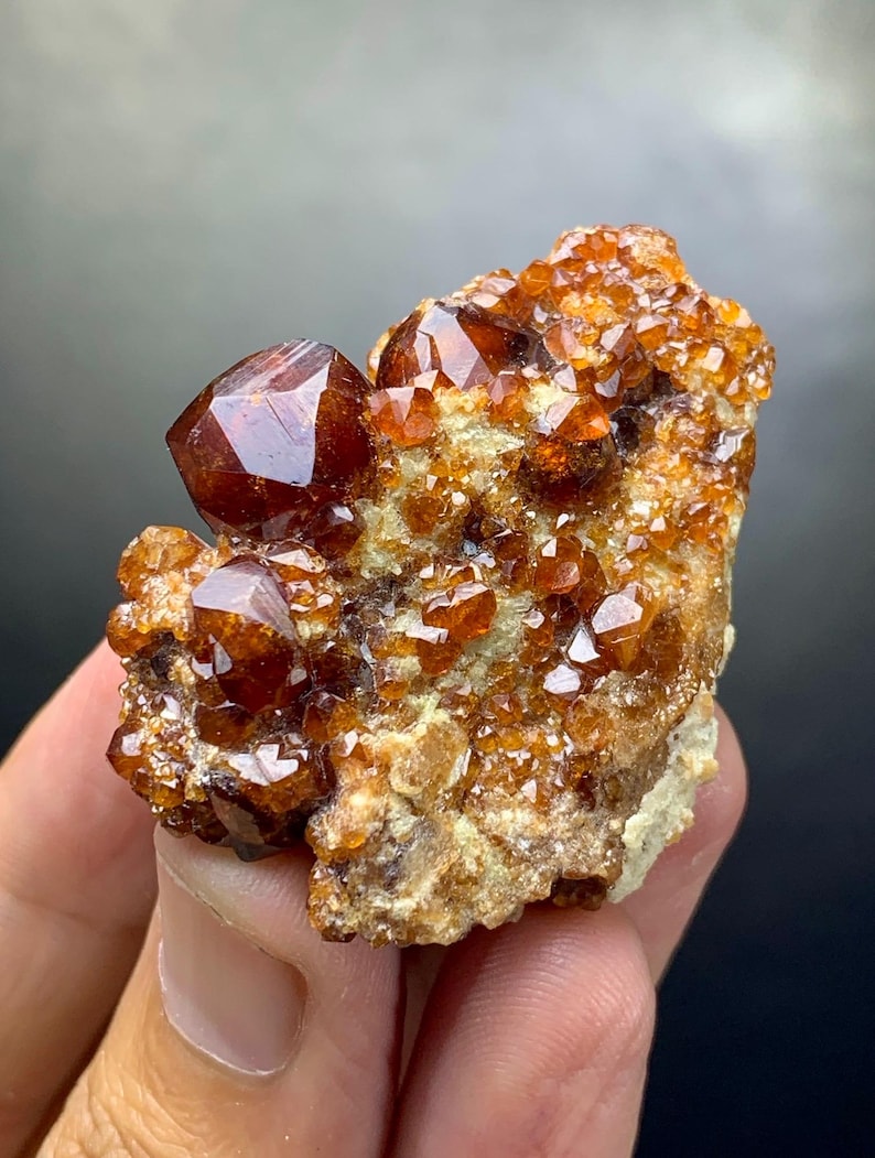 May include: A cluster of orange-brown garnet crystals on a beige matrix. The crystals have a glossy, faceted appearance, with a prominent, well-formed crystal at the top. The mineral specimen is held in a hand, showcasing its natural beauty.