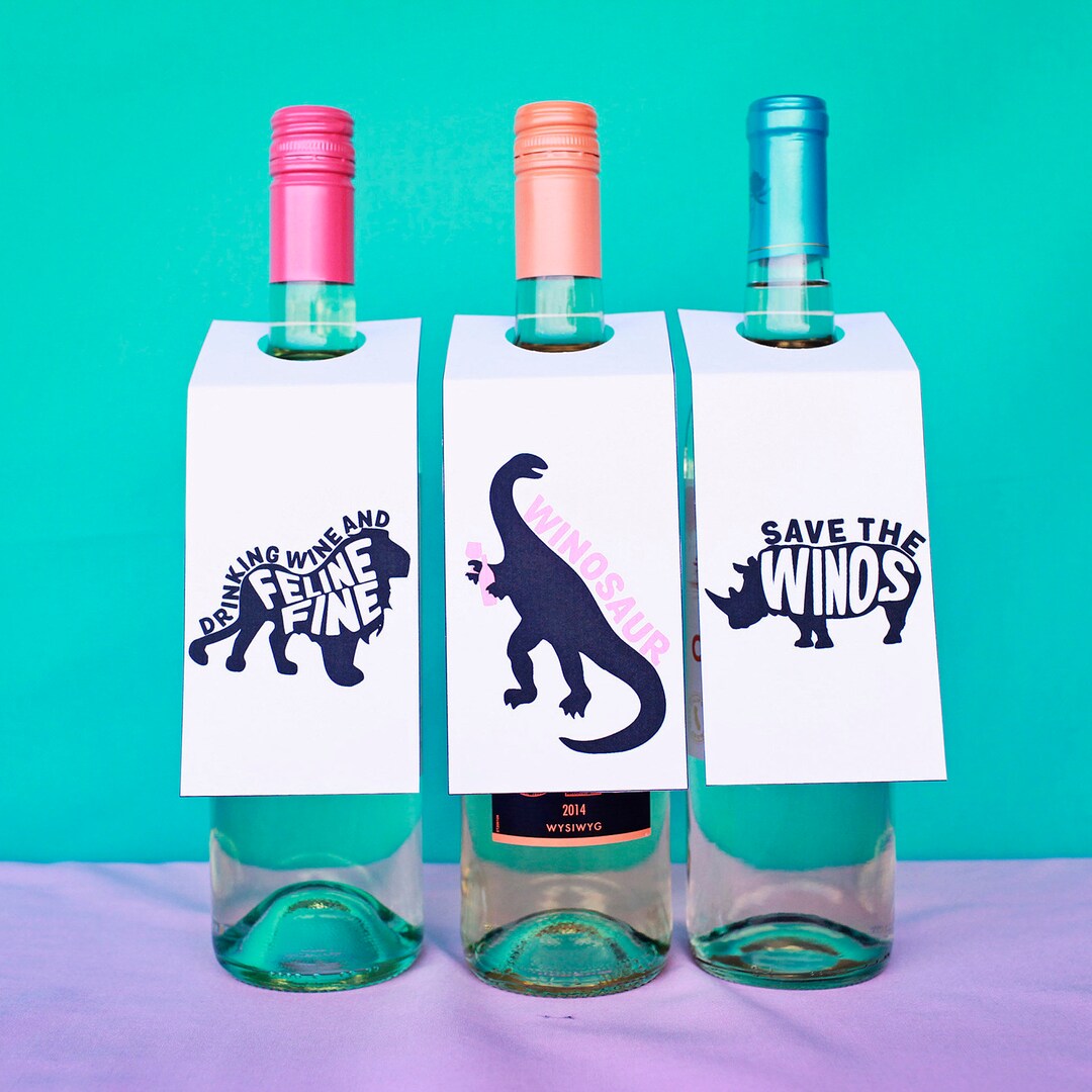 Wine Tags, Funny Wine Lover Gift, Girls Night in Wine, Bachelorette