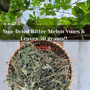 Organic Sun-Dried Bitter Melon Vines & Leaves 50 grams!!!