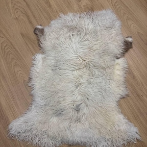 Natural Sheepskin Rug – White with Brown Tips | Genuine Lambskin Hide – Rustic Wool Decor