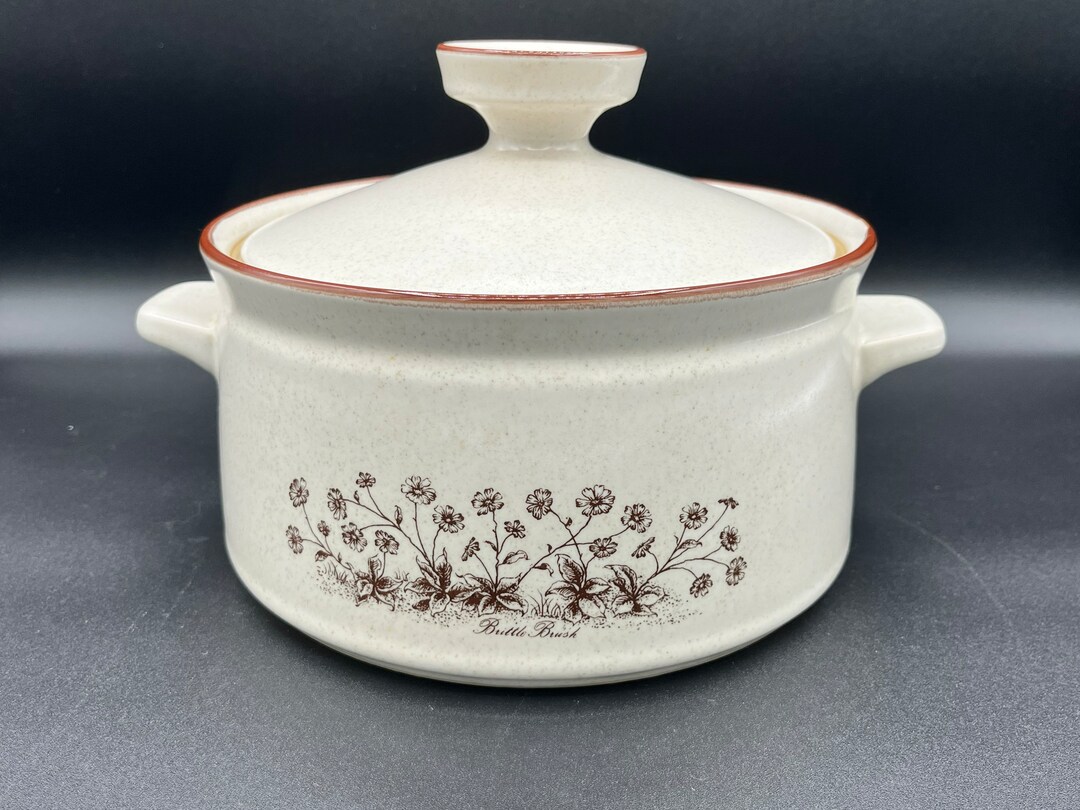 Noritake Stoneware Desert Flowers 2 Handled Pot Round Casserole Dish