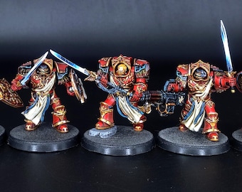 Blood Angels Crimson Paladins painted commission