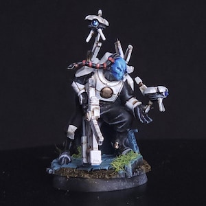 Darkstrider painted commission