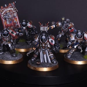 Grey Knights Paladins painted commission