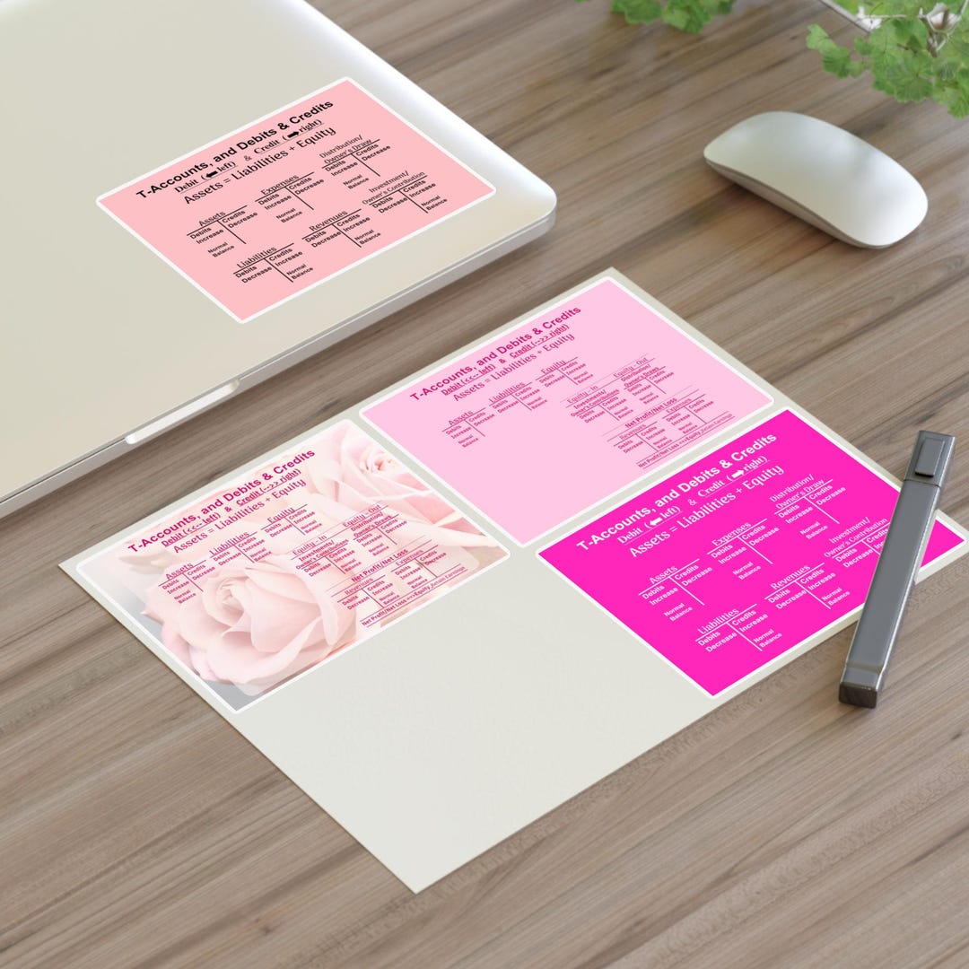 Pink Accounting Equation Stickers: T-accounts, Study Aid (4 Stickers ...