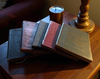 Pequeña biblioteca de cuero
