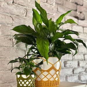 May include: Two potted plants with vibrant green leaves. The larger plant is in a white pot with a yellow crocheted cover. The smaller plant is in a white pot with a green crocheted cover. The background is a white brick wall.