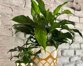 Patrón de crochet para cubrir plantas en macetas / Descarga instantánea en PDF