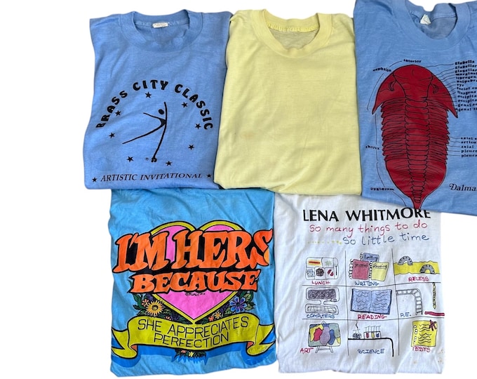 80s 90s Vintage T-shirt 5 Pack Distressed & Damaged Tshirts Size Large Shirts Adult Unisex Graphic Tees