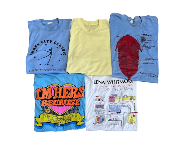 80s 90s Vintage T-shirt 5 Pack Distressed & Damaged Tshirts Size Large Shirts Adult Unisex Graphic Tees