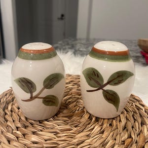 May include: A pair of ceramic salt and pepper shakers. The shakers are egg-shaped with a white base, green and brown bands around the top, and a leaf design. They sit on a woven placemat.