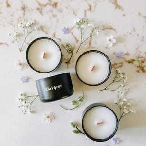 Spring Discovery Set