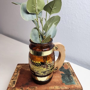 May include: A brown glass beer stein with a wooden handle and gold trim, filled with faux eucalyptus leaves. The stein has a gold design with the words "THE PARK" and a deer illustration. It sits on a wooden box.