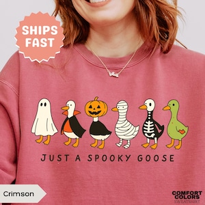 Halloween Goose Sweatshirt Comfort Colors Silly Goose Sweatshirt Spooky Season Vintage Halloween Sweatshirt Just A Spooky Goose Sweater
