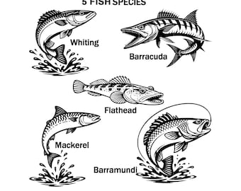 Fish Clipart SVG Bundle | Whiting Barramundi Flathead Mackerel Barracuda