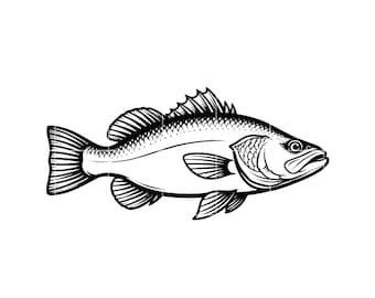 Barramundi Fish SVG | Minimalist Australian Fishing Clipart (Digital Download)